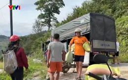 Các tỉnh miền Trung khẩn trương thu hoạch lúa tránh bão số 9