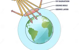 Bảo vệ "lá chắn" của Trái đất
