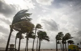 Cục Đường bộ yêu cầu theo dõi chặt chẽ hướng đi của bão để ứng phó từ xa