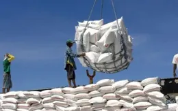 Ấn Độ siết lại xuất khẩu gạo