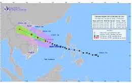 Cục Hàng hải và Đường thủy thành lập 4 đoàn công tác từ Quảng Ninh đến Quảng Ngãi ứng phó bão số 10