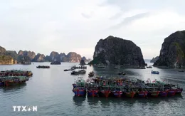 Tạm ngừng cấp phép tàu trên vùng biển Quảng Ninh