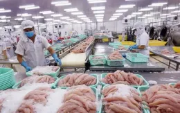 Thủy sản Việt Nam bứt phá, chinh phục thị trường khó tính