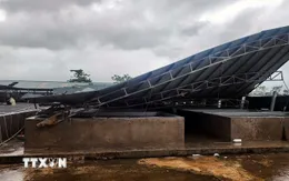Bão số 10: Quảng Ninh giông lốc khiến 9 người bị thương