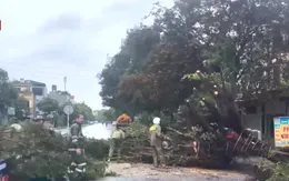 Thanh Hóa: Nhiều nhà dân bị tốc mái, hư hỏng do bão số 10