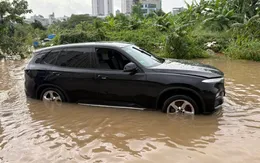 Yêu cầu nhanh chóng bồi thường, trả tiền bảo hiểm thiệt hại do bão số 10