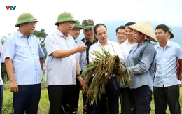 Phú Thọ: Gần 2.000 nhà dân bị hư hỏng, thiệt hại khoảng 85 tỉ đồng