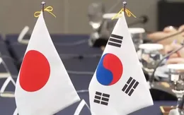 Nhật Bản - Hàn Quốc tăng cường hợp tác ứng phó thách thức chung