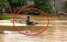 Người đàn ông ở Hà Tĩnh lao ra cứu nam sinh lớp 7 bị lũ cuốn trôi