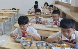 Hà Nội lập Đoàn kiểm tra liên ngành “siết” bữa ăn bán trú trường học sau vụ rau bẩn