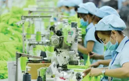 Doanh nhân Việt Nam: Vững vàng nội lực, kiến tạo tương lai