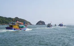 Tìm kiếm ngư dân mất tích và cứu nạn tàu cá bị tông chìm trên biển