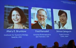 Ba nhà khoa học giành giải Nobel Y học 2025 nhờ khám phá về hệ miễn dịch