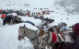 Hàng trăm người leo núi thoát khỏi đỉnh Everest bị bão tuyết tấn công ở Tây Tạng