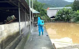 Bộ Y tế hướng dẫn phòng, chống bệnh thường gặp trong mưa lũ, ngập lụt