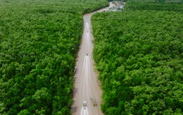 Định vị du lịch Cà Mau trong bản đồ quốc gia: Từ “điểm cuối” đến cực Nam năng động