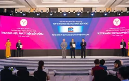 Tập đoàn DIC ghi dấu ấn “Top 10 thương hiệu phát triển bền vững”