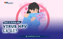 Virus HPV là gì?