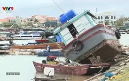 Tạm ứng bảo hiểm giúp doanh nghiệp sớm khôi phục hoạt động sau bão