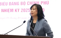 1,5 triệu người Việt Nam được trợ giúp đột xuất do ảnh hưởng bởi thiên tai, bão lũ mỗi năm