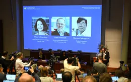 Những điều cần biết về Giải Nobel 2025