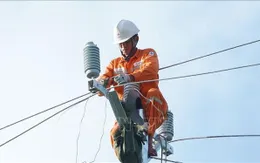 Điện lực miền Bắc cấp điện trở lại cho khoảng 66,9% khách hàng bị ảnh hưởng sau bão số 11