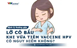Lỡ có bầu khi vừa tiêm vaccine HPV - có nguy hiểm không?