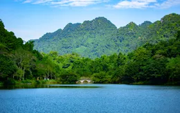 Đến Cúc Phương
Chạm vào nhịp thở của thiên nhiên