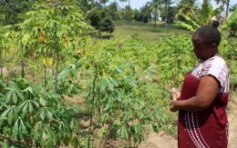 Kenya nghiên cứu mối liên hệ giữa biến đổi khí hậu và sức khỏe tinh thần