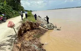 Vĩnh Long chủ động ứng phó sạt lở khi triều cường dâng cao
