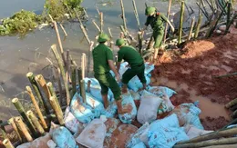 Bắc Ninh phát công điện khẩn, ứng phó lũ đặc biệt lớn trên sông Cầu và sông Thương