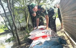 Hà Nội, Thái Nguyên, Bắc Ninh tăng cường tuần tra, xử lý sự cố đê điều