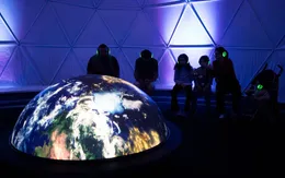 Thông điệp khẩn thiết về bảo vệ rừng