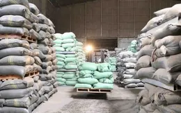 Bộ Tài chính xuất cấp hàng dự trữ quốc gia hỗ trợ các địa phương khắc phục hậu quả mưa lũ