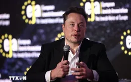 xAI gia nhập cuộc đua "mô hình Thế giới" cùng Meta, Google