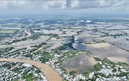 Dự báo mực nước trên sông Hậu 5 ngày tới khả năng vẫn xấp xỉ báo động 2