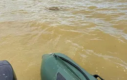 Vụ nghi bố ôm 2 con nhảy cầu: Tìm thấy thi thể 2 bé gái