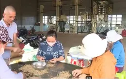 Gỡ vướng thuế VAT cho doanh nghiệp