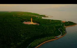 Du lịch xanh ở vùng đất Mũi Cà Mau