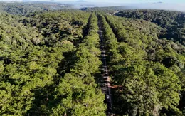 Mở lối cho “Thiên đường xanh” ở Măng Đen