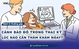 Cảnh báo đỏ trong thai kỳ - Khi nào mẹ bầu cần đi khám ngay?