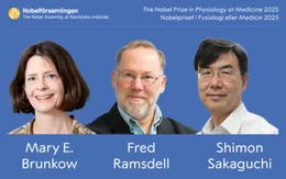 Giải Nobel Y học 2025: Những phát hiện đột phá về hệ miễn dịch