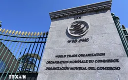 Việt Nam tham gia cơ chế giải quyết tranh chấp của WTO