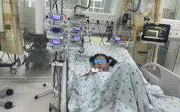 Cứu sống bé gái 11 tuổi bị viêm cơ tim tối cấp kèm bất thường mạch vành hiếm gặp