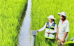 Phê duyệt Chiến lược phát triển khuyến nông đến 2030, tầm nhìn 2050