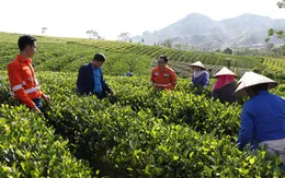 Việt Nam – EU: Kim ngạch thương mại bứt phá nhờ đòn bẩy xanh và chuyển đổi số