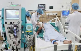Tử vong vì hoại tử do xử lý sai sau khi bị rắn hổ mang cắn