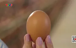 Pháp: Nhu cầu trứng gà tăng vọt