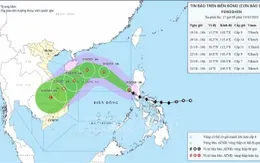 Bão số 12 có khả năng mạnh thêm trong 24 giờ tới