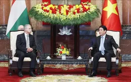 Chủ tịch nước Lương Cường tiếp Chủ tịch Quốc hội Hungary